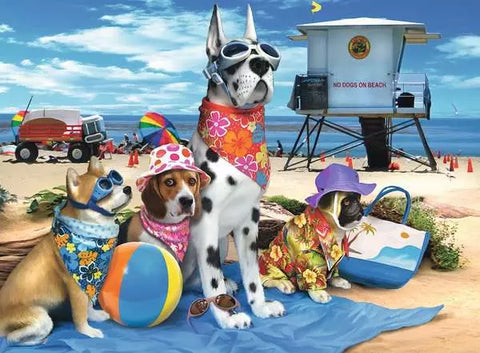 Les chiens ne sont pas sur la plage | 100XL mcx