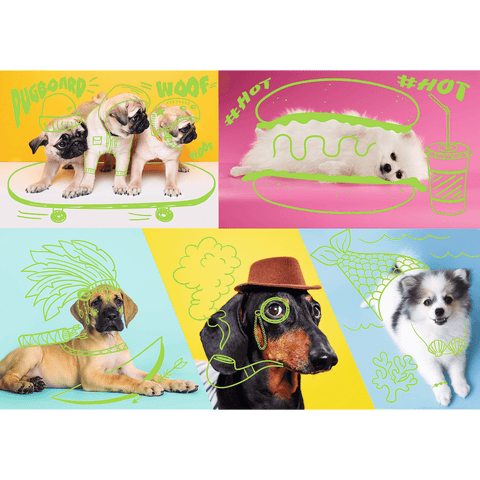 Chiens excentriques - Neon Color Line | 1000 mcx