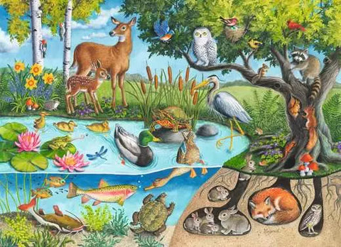 Animaux du dessus et du dessous | 60 mcx