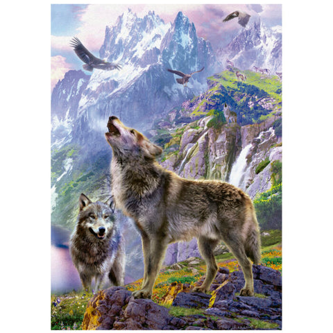 Loups sur les rochers | 500 mcx