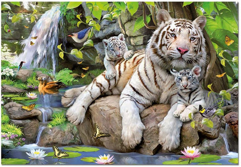 Tigres blancs du Bengale | 1000 mcx