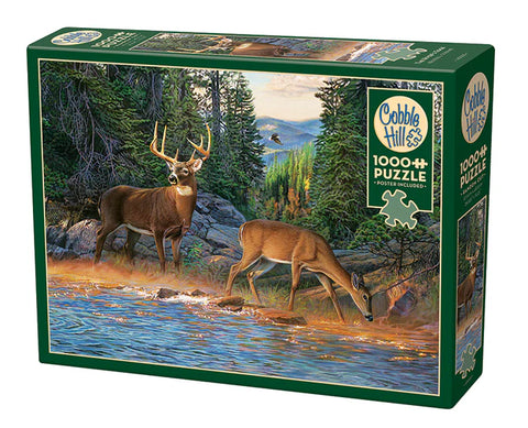 Le bord de la rivière | 1000 mcx
