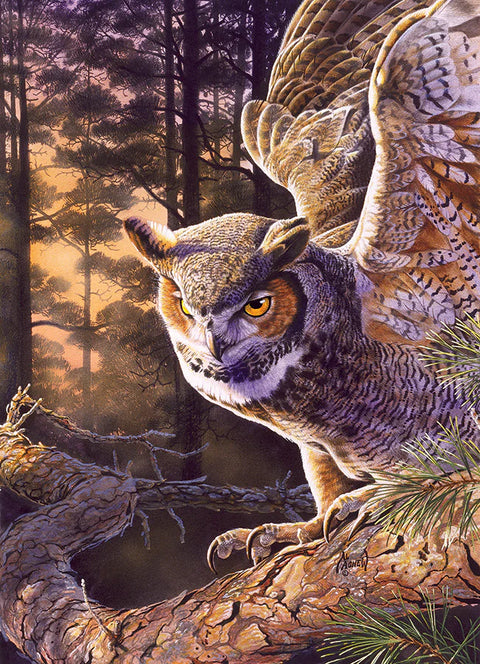 Chasseur nocturne | 1000 mcx