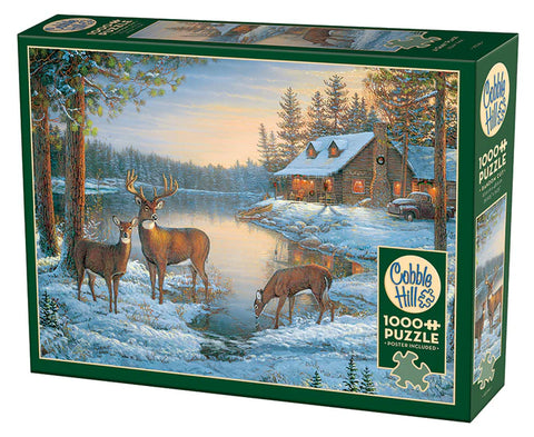 Un endroit calme | 1000 mcx