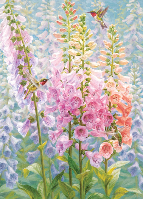 Arc-en-ciel d'été | 500XL mcx