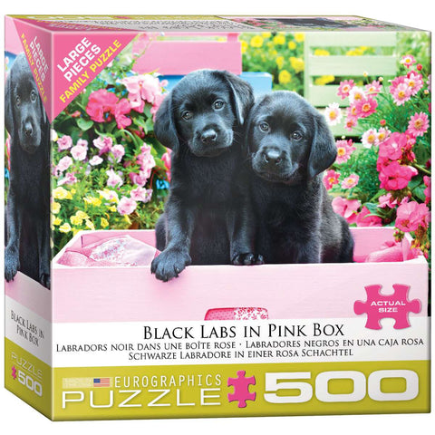 Labradors noirs dans une boite rose | 500XL mcx