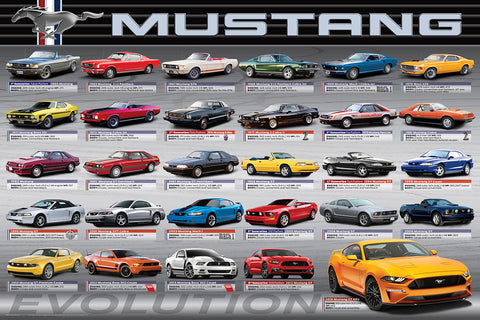 Ford Mustang Évolution | 1000 mcx