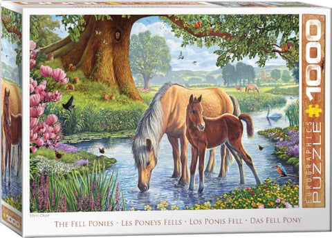 Les Poneys Fells | 1000 mcx