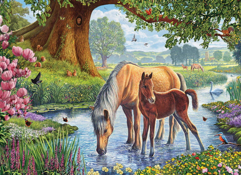 Les Poneys Fells | 1000 mcx