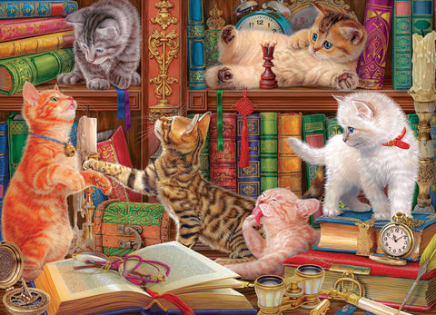 Chatons de bibliothèque | 1000 mcx