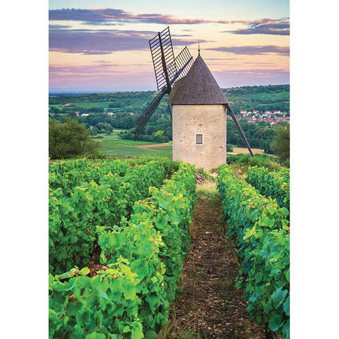 Moulin Sorine, vignoble Santenay | 1000 mcx