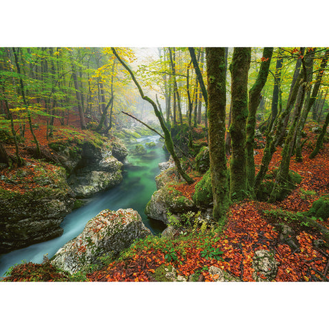 Magic Forest - Petit ruisseau | 1000 mcx