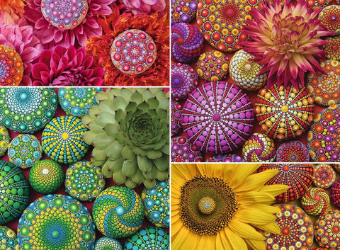 Elspeth McLean - Mandalas en fleurs | 500 mcx