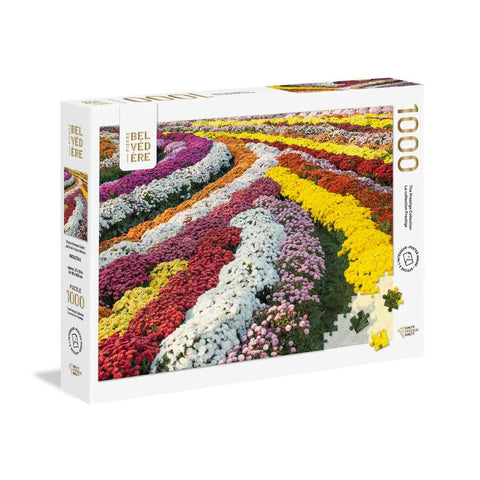 Jardin de chrysanthèmes | 1000 mcx