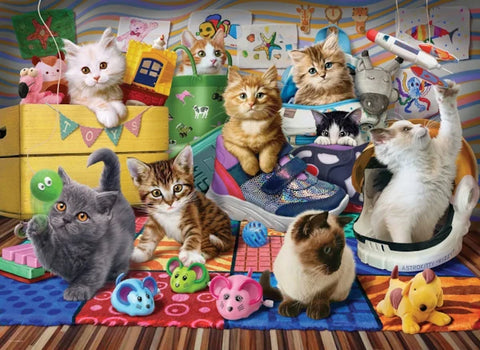 Récréation des chatons | 500XL mcx