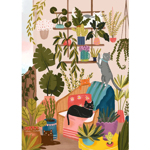 Chats de balcon | 1000 mcx