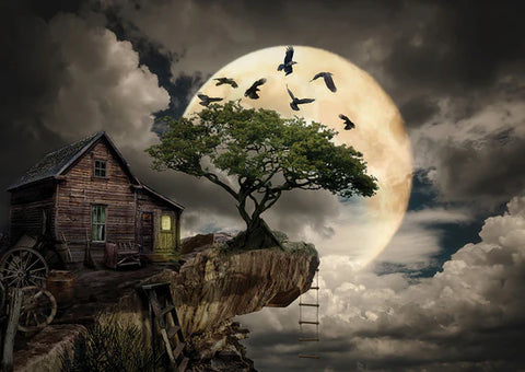 Une cabane en rondins sur une falaise | 1000 mcx