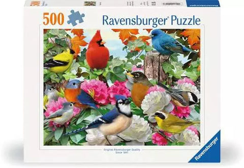 Oiseaux de jardin | 500 mcx