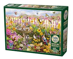 Bain d'oiseaux dans la cour | 1000 mcx