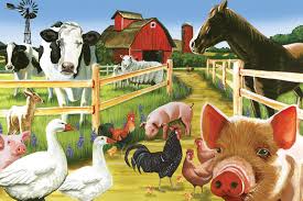 Bienvenue à la ferme | Casse-tête de plancher 35 mcx