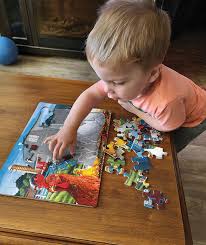 Canards de Dwight | 35 mcx