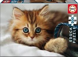 Chaton | 200 mcx