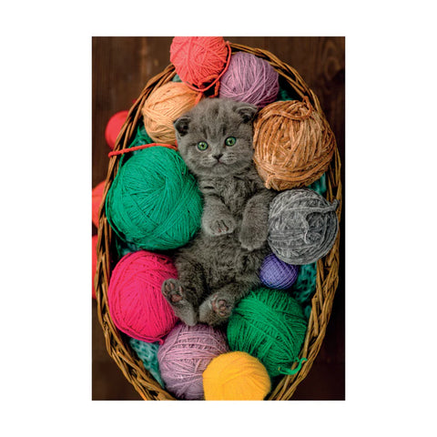 Chaton douillet | 500 mcx