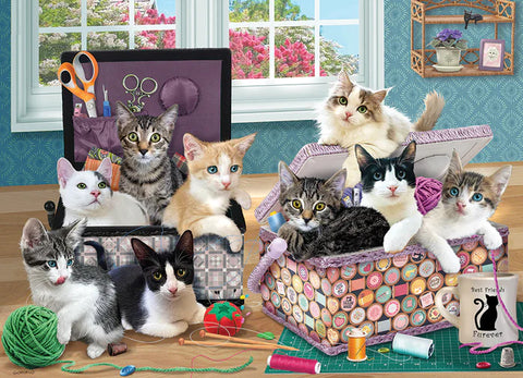 Chatons futés | 500XL mcx