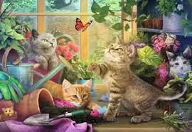 Des chatons enjoués | 200XL mcx