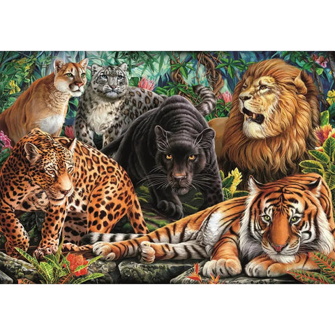 Chats sauvages | 500 mcx