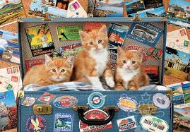 Petits chats voyageurs | 200 mcx