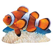 Je suis le p'tit poisson-clown | 48 mcx