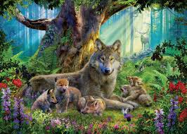 Famille de loups dans la forêt | 1000 mcx