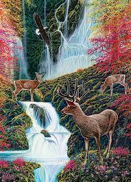 Rural Paradise | 500XL pcs