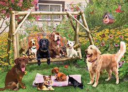 Service de garde pour chiens | 500XL mcx