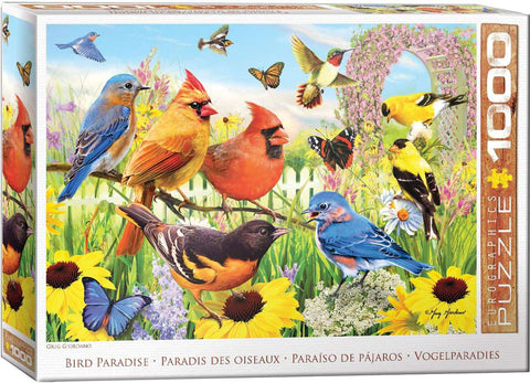 Oiseaux de jardin | 1000 mcx