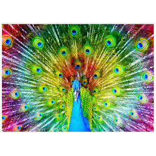 Paon coloré | 1000 mcx