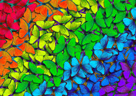 Arc-en-ciel de papillons | 1000 mcx