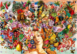 Passion pour les puzzles | 1000 mcx