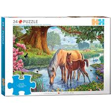 Les poneys Fells | 24XXL mcx