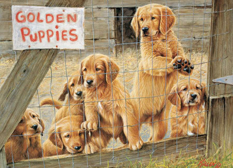 Golden puppies | 500XL mcx