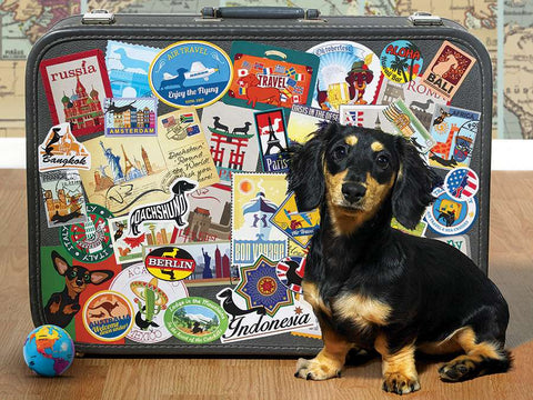 Dachshund 'Round the World | 500XL mcx