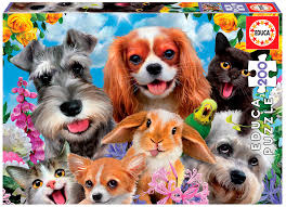 Selfie d'animaux | 200 mcx