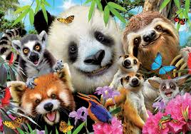 Selfie amis aux yeux noirs | 300 mcx