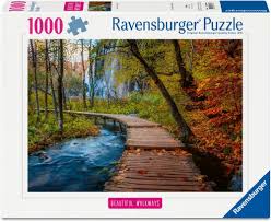 Beau sentier : Sentier de bois en automne | 1000 mcx