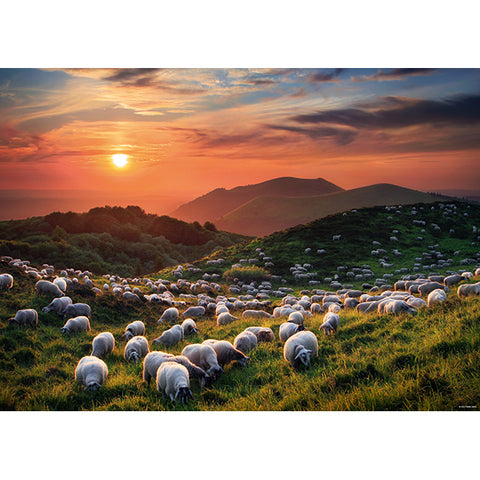 Sheep and Volcanoes | 1000 mcx