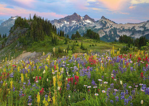 Tatoosh mountains | 2000 mcx