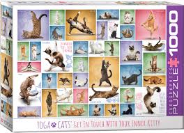 Yoga de chats | 1000 mcx